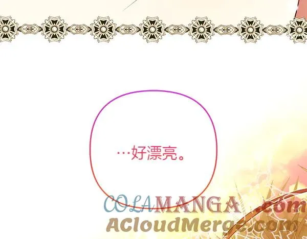 第241页