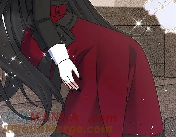 第217页