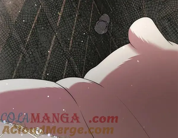 第249页