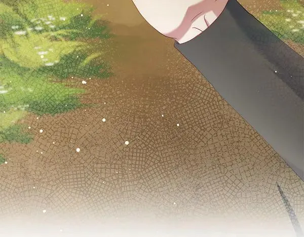 第231页