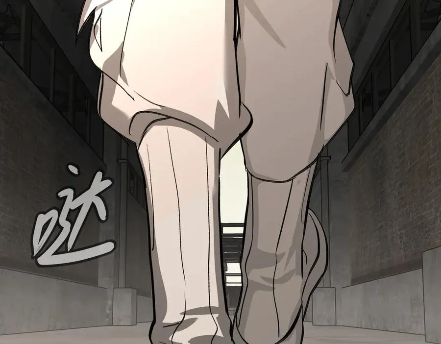 第204页