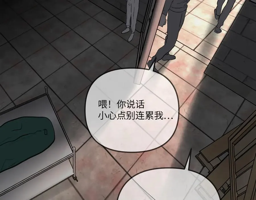第194页