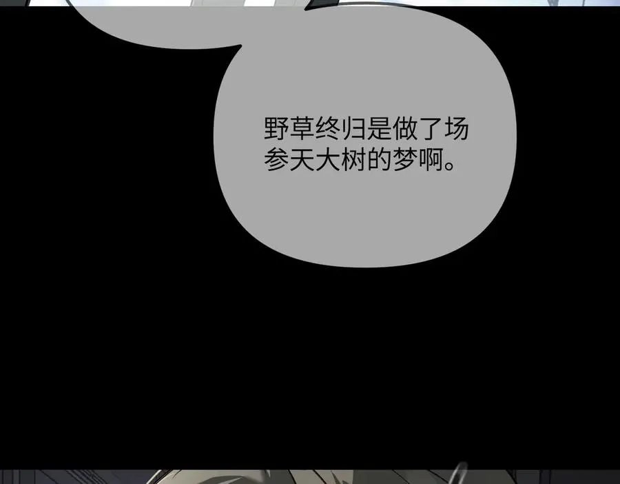 第236页