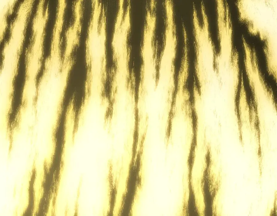 第214页