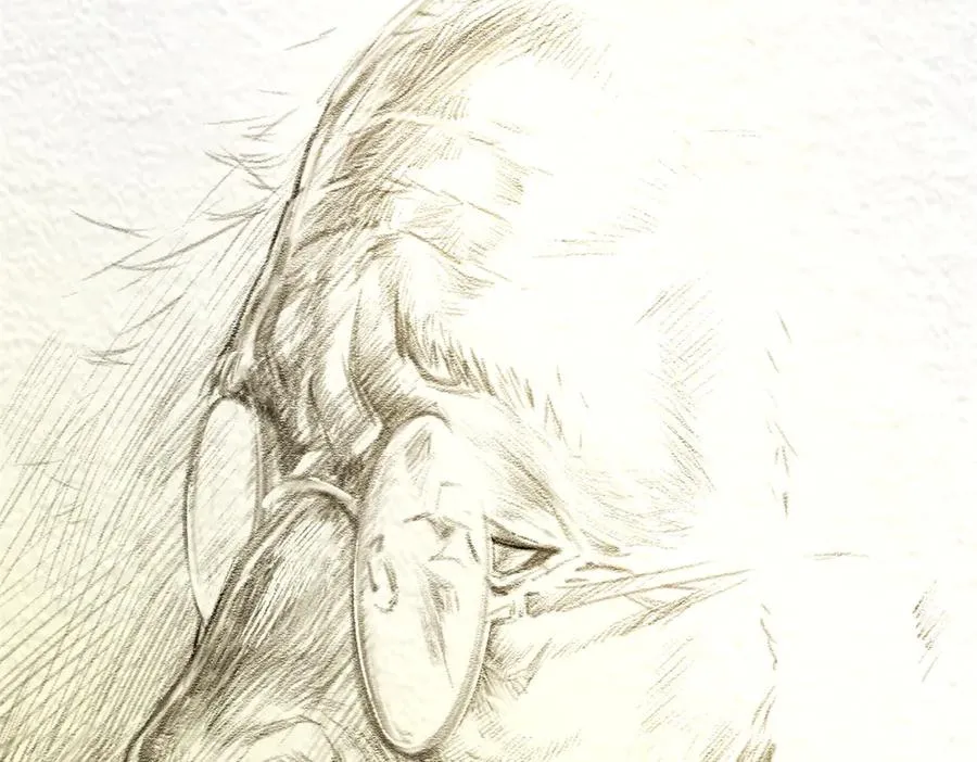 第171页