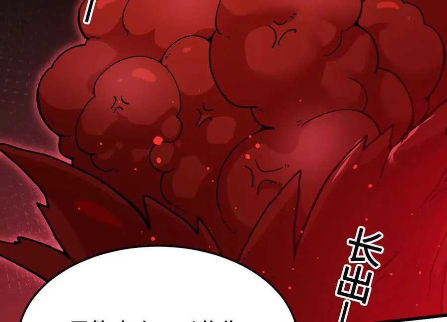 第215页