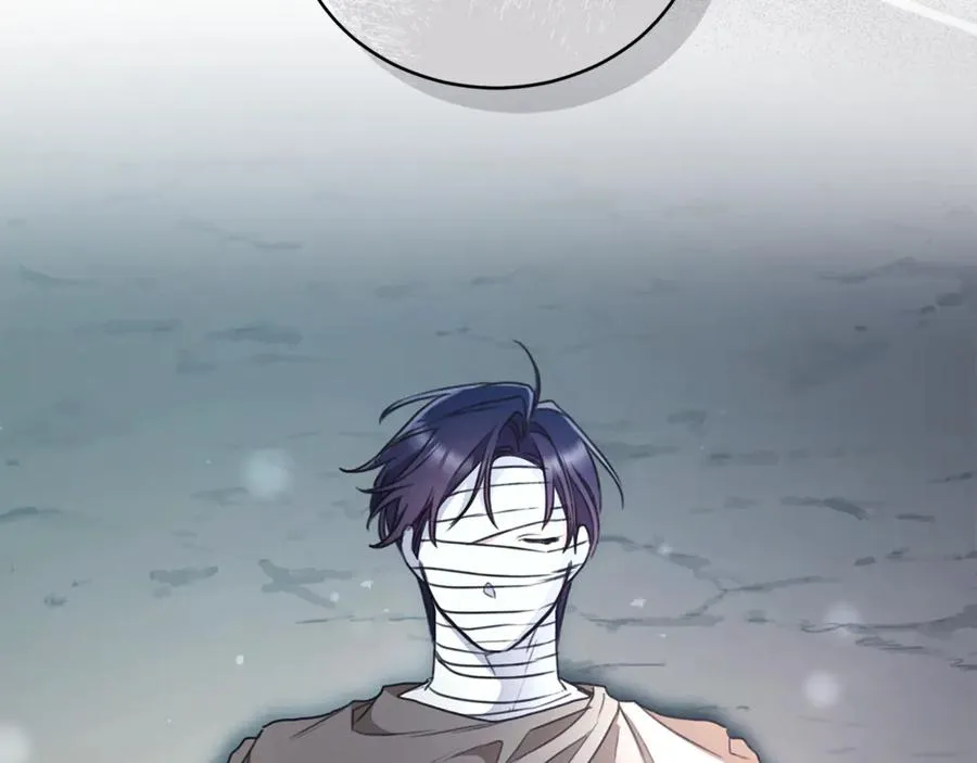 第255页