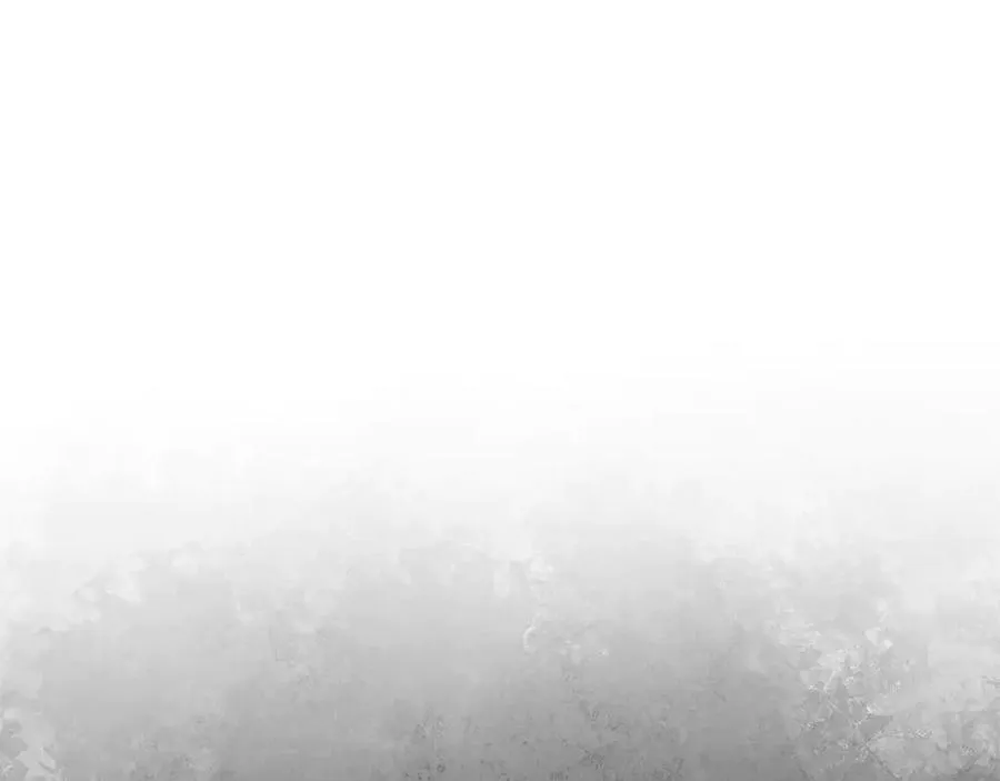 第242页