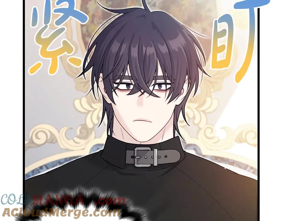 第233页