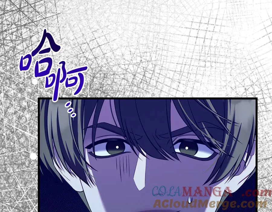 第217页