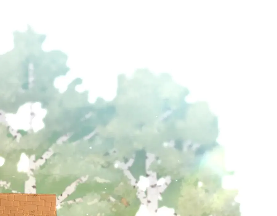 第223页