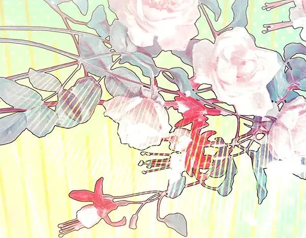 第210页