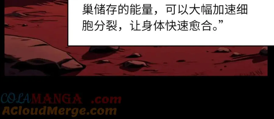 第233页