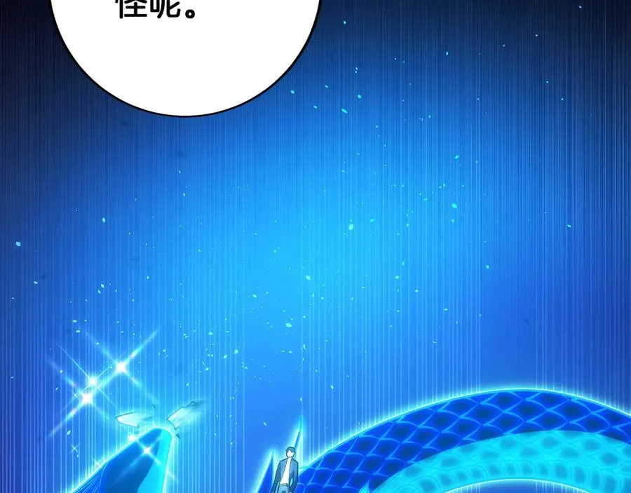 第260页