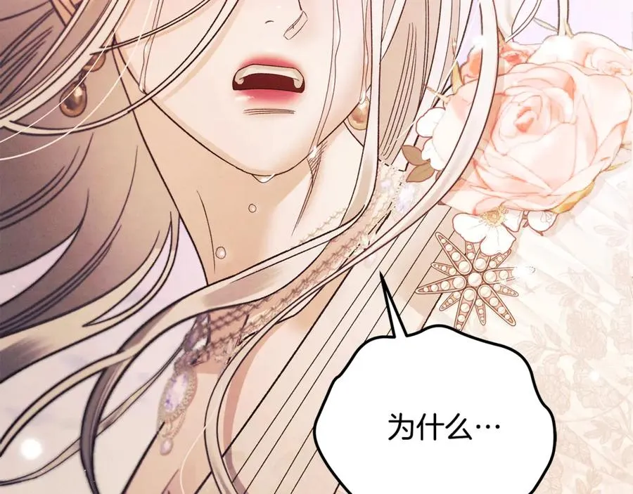 第244页