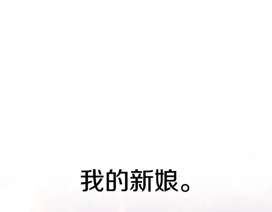 第255页