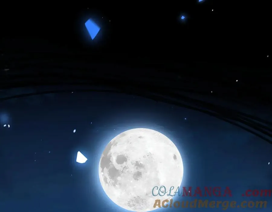 第205页