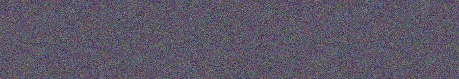 第224页