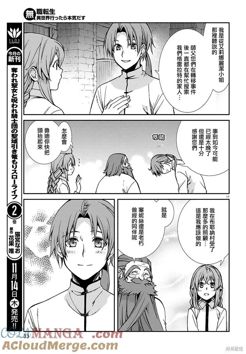 第17页