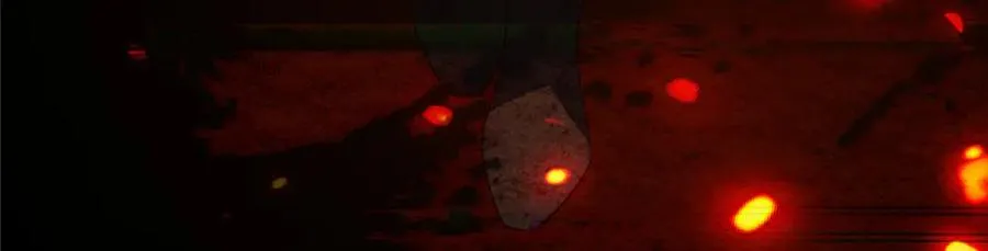 第230页