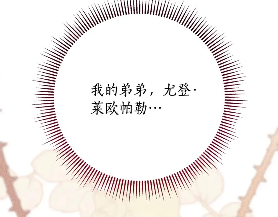 第250页