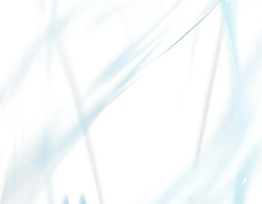 第204页