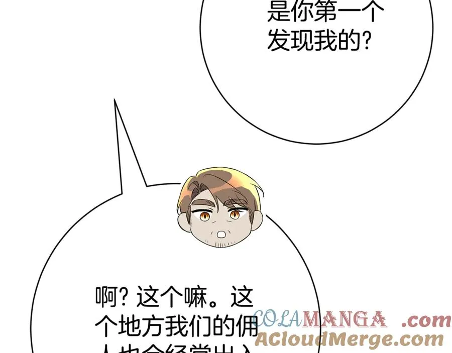 第221页