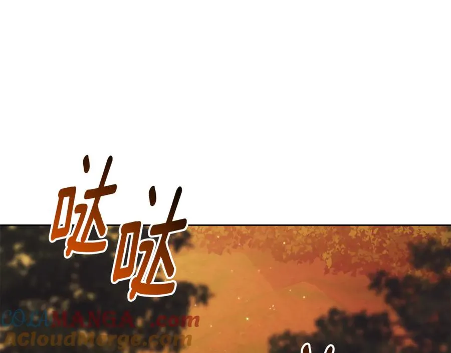 第249页