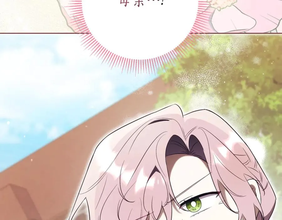 第206页