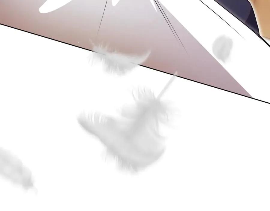 第239页