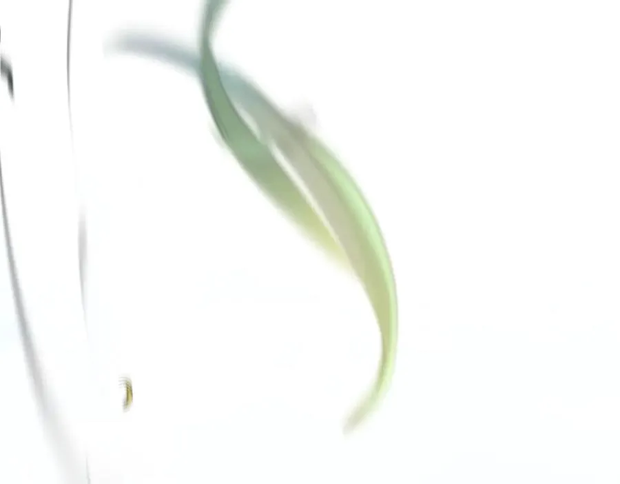 第194页
