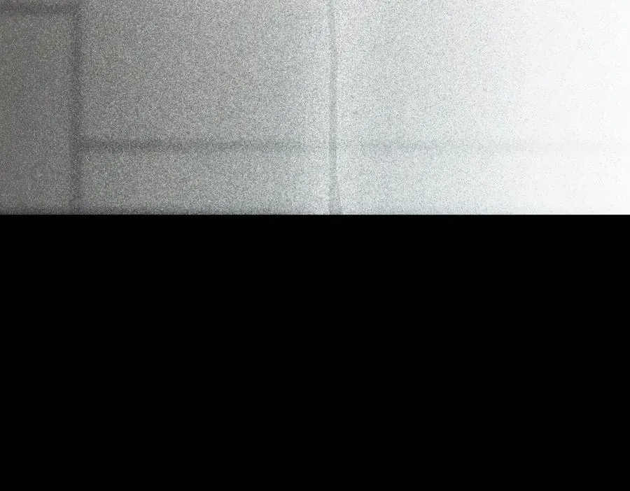 第238页