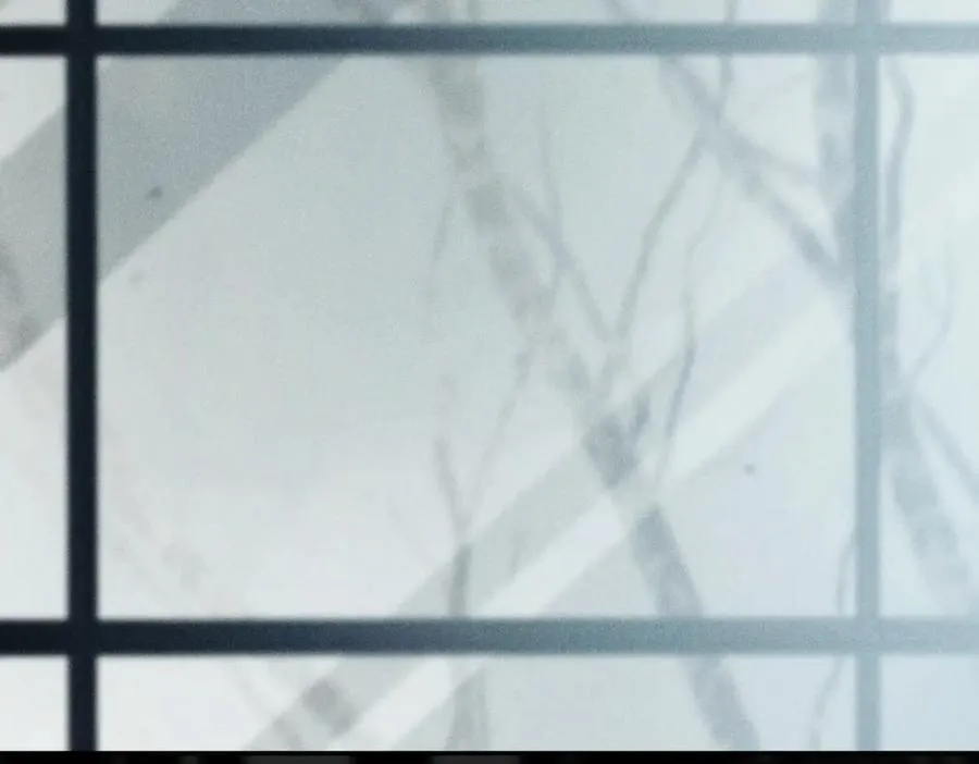 第240页