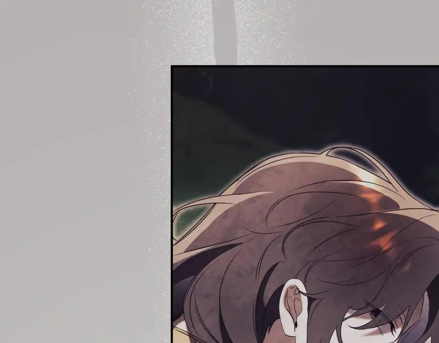第223页