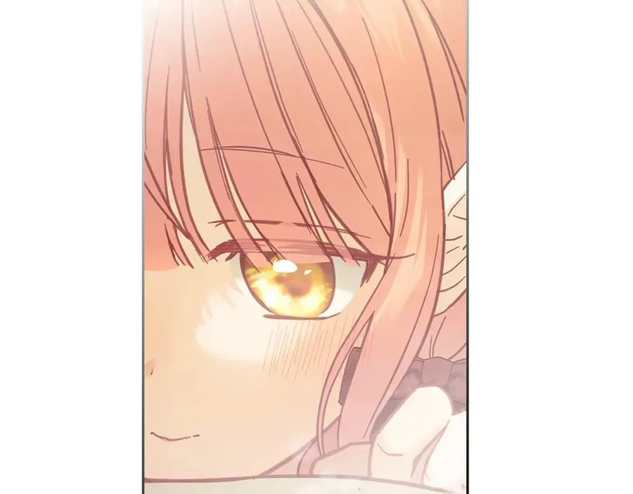 第223页