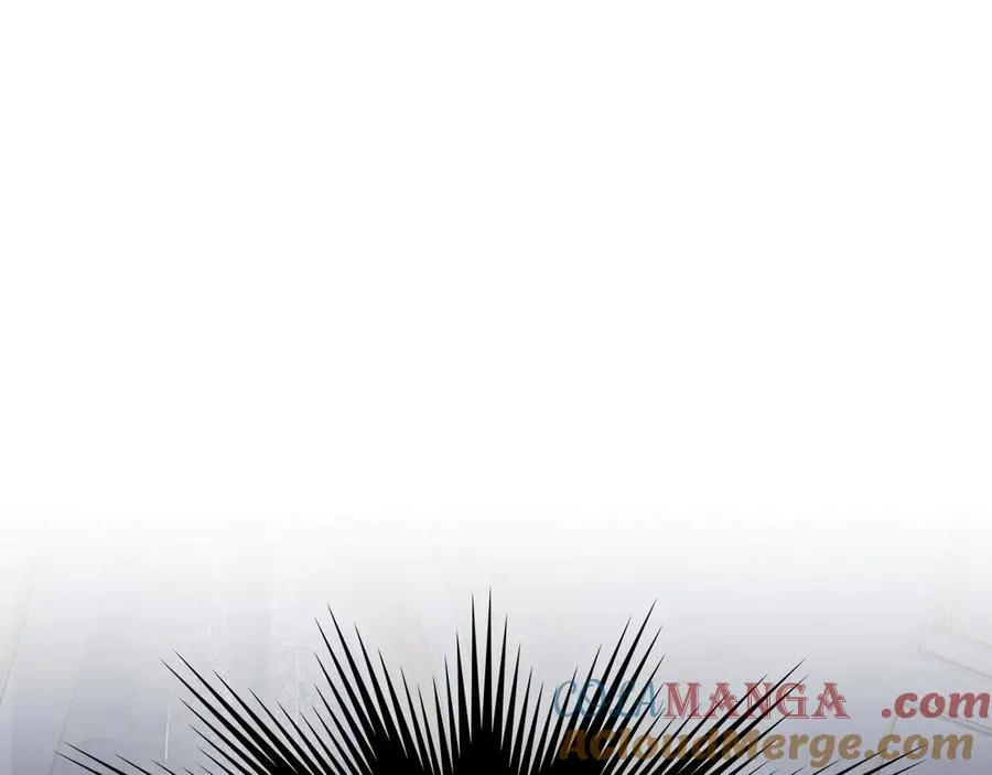 第241页