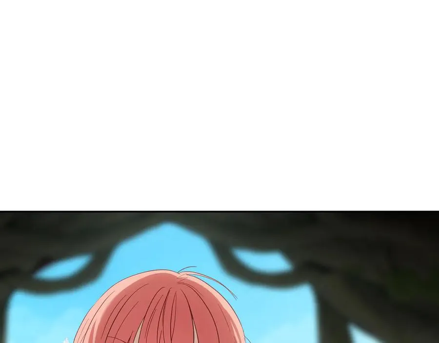 第244页