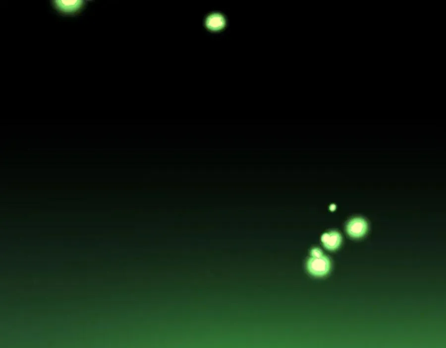 第175页