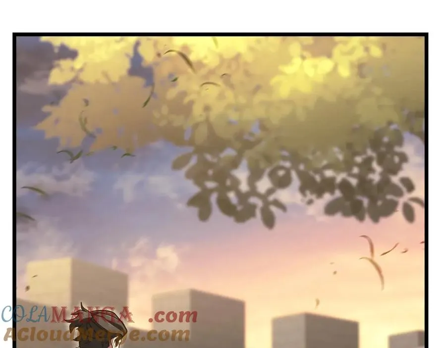 第217页