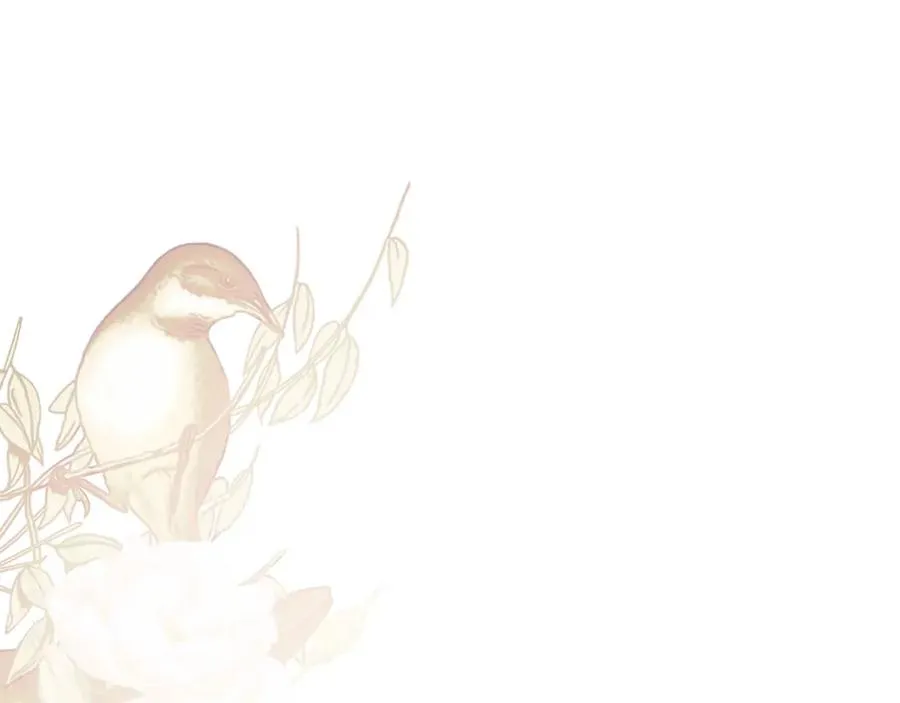 第202页