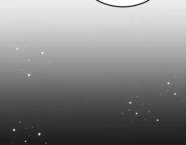 第242页