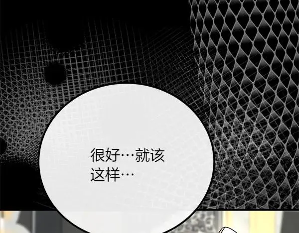 第243页
