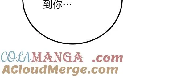 第221页