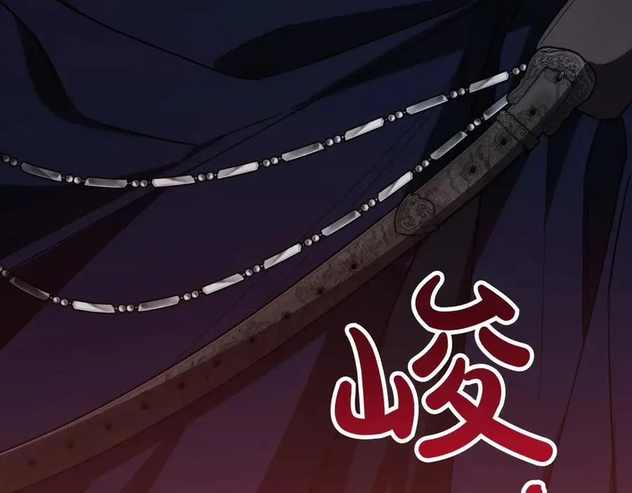 第223页
