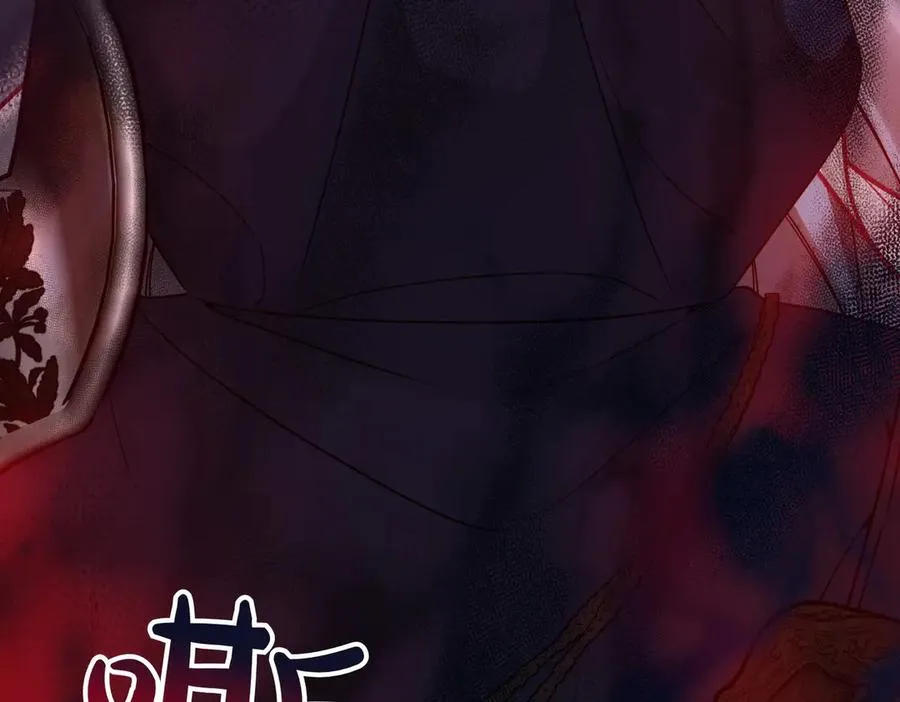 第216页