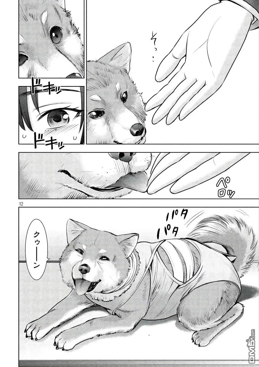 第12页