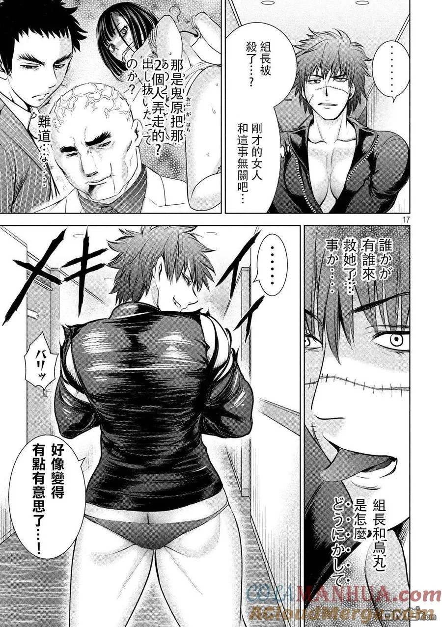 第17页