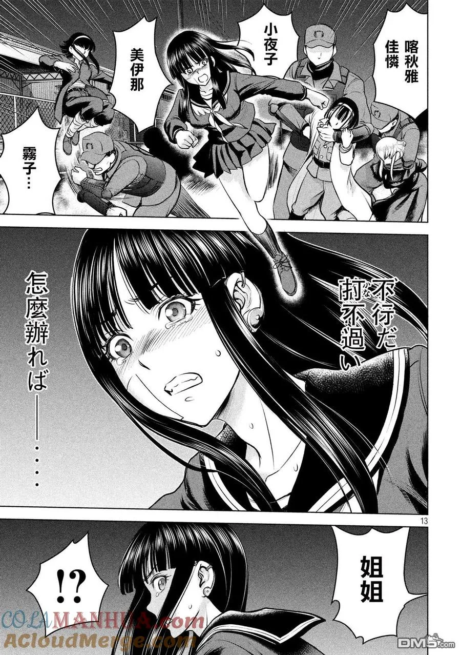 第13页