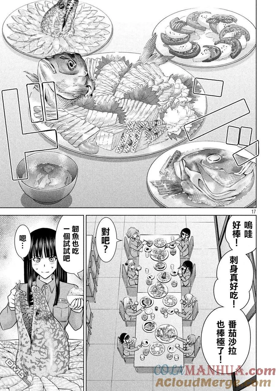 第17页