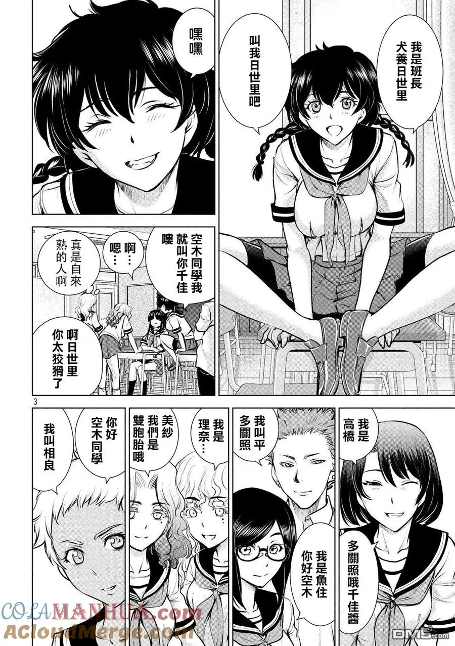 第3页